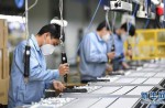 广东各体育产业单元企业有序复工复产